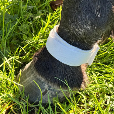 Stride-on equine leg band on horse hoof with pasture environment in the background