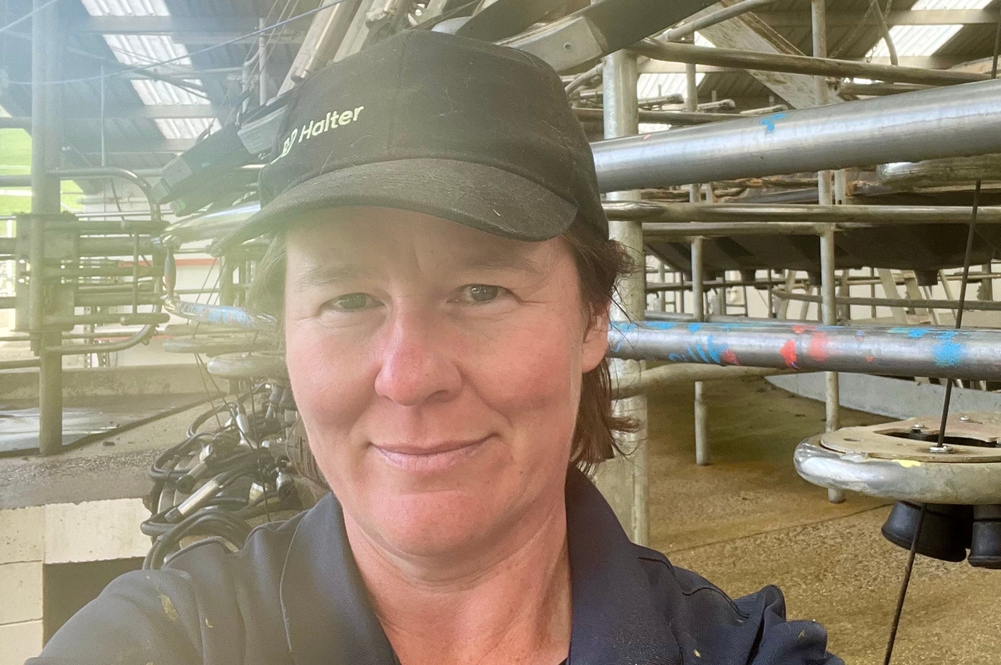 Farm Medix Mastitis Diagnosis Improves SCC on Oamaru Farm