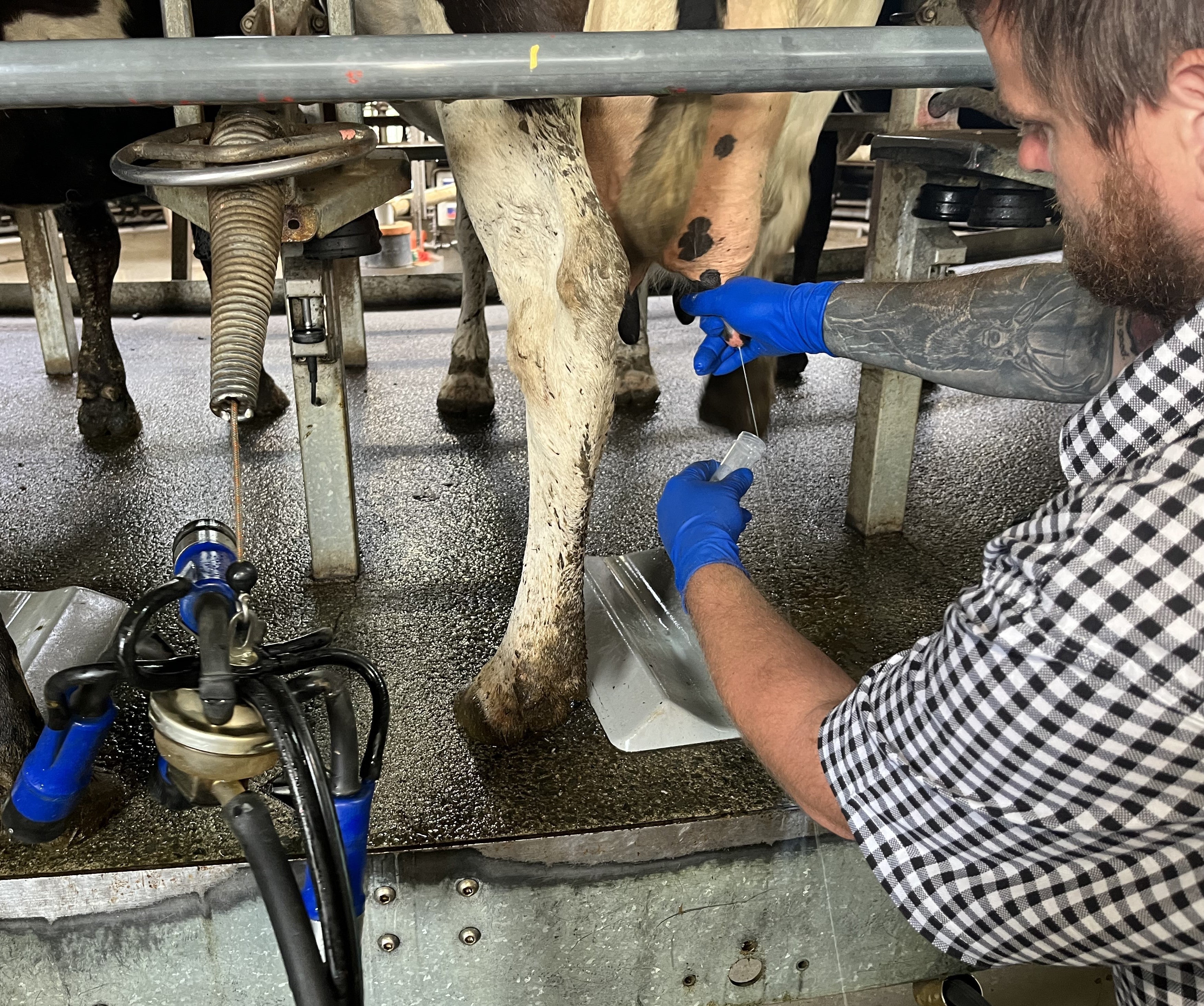 Aseptic Sampling: Trust Your Results