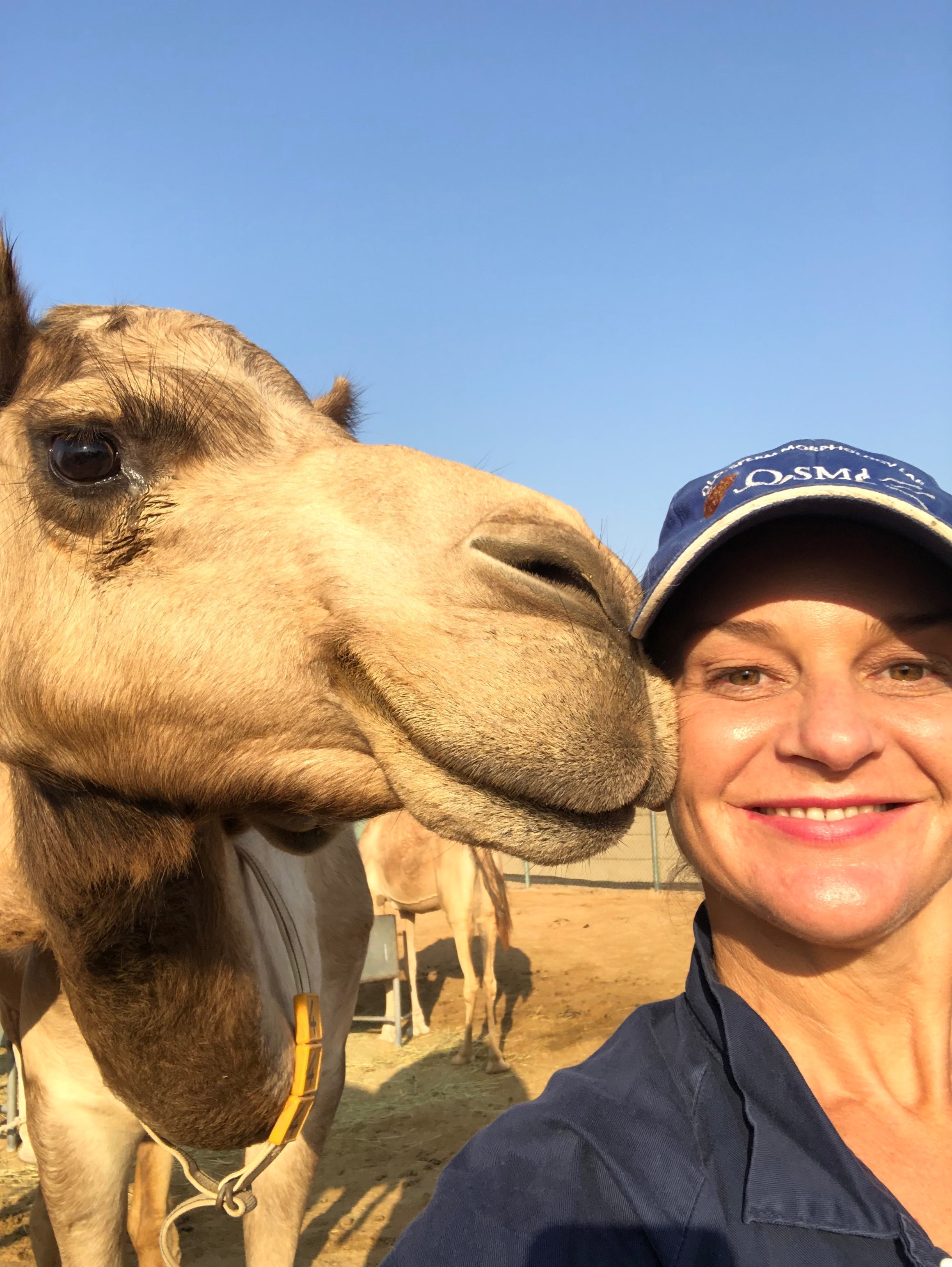 Dr. Margie Bale: Mastitis Control in Camel Dairies