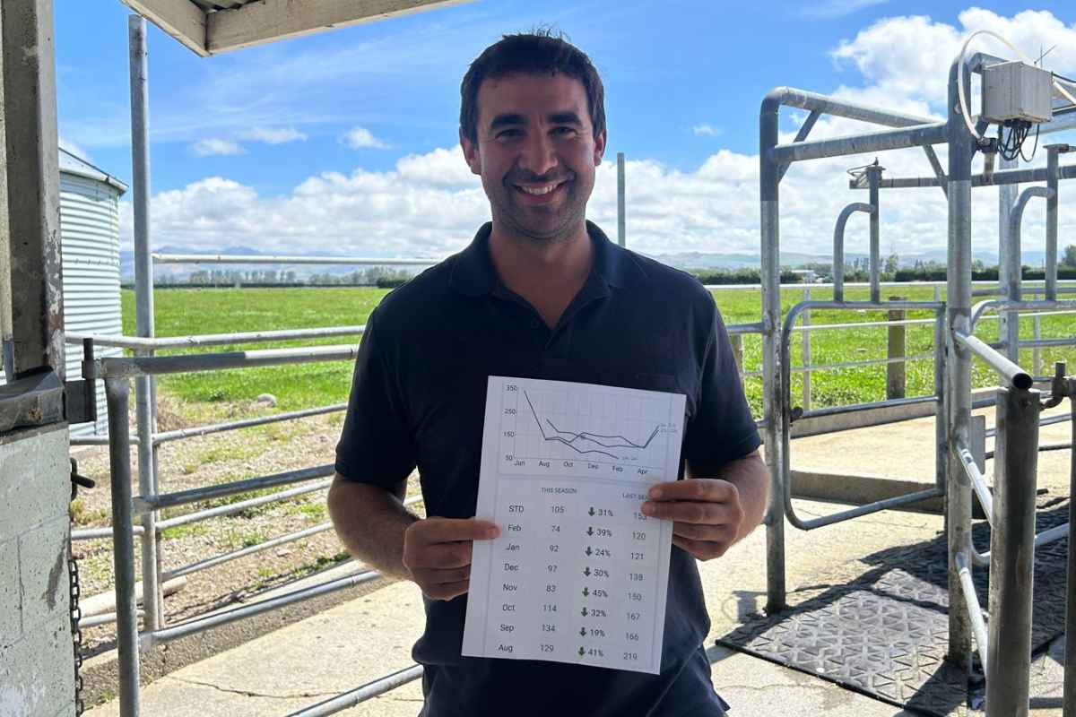 Pablo Ackermann Cuts Somatic Cell Count 30% at Pahau Reserve, Culverden