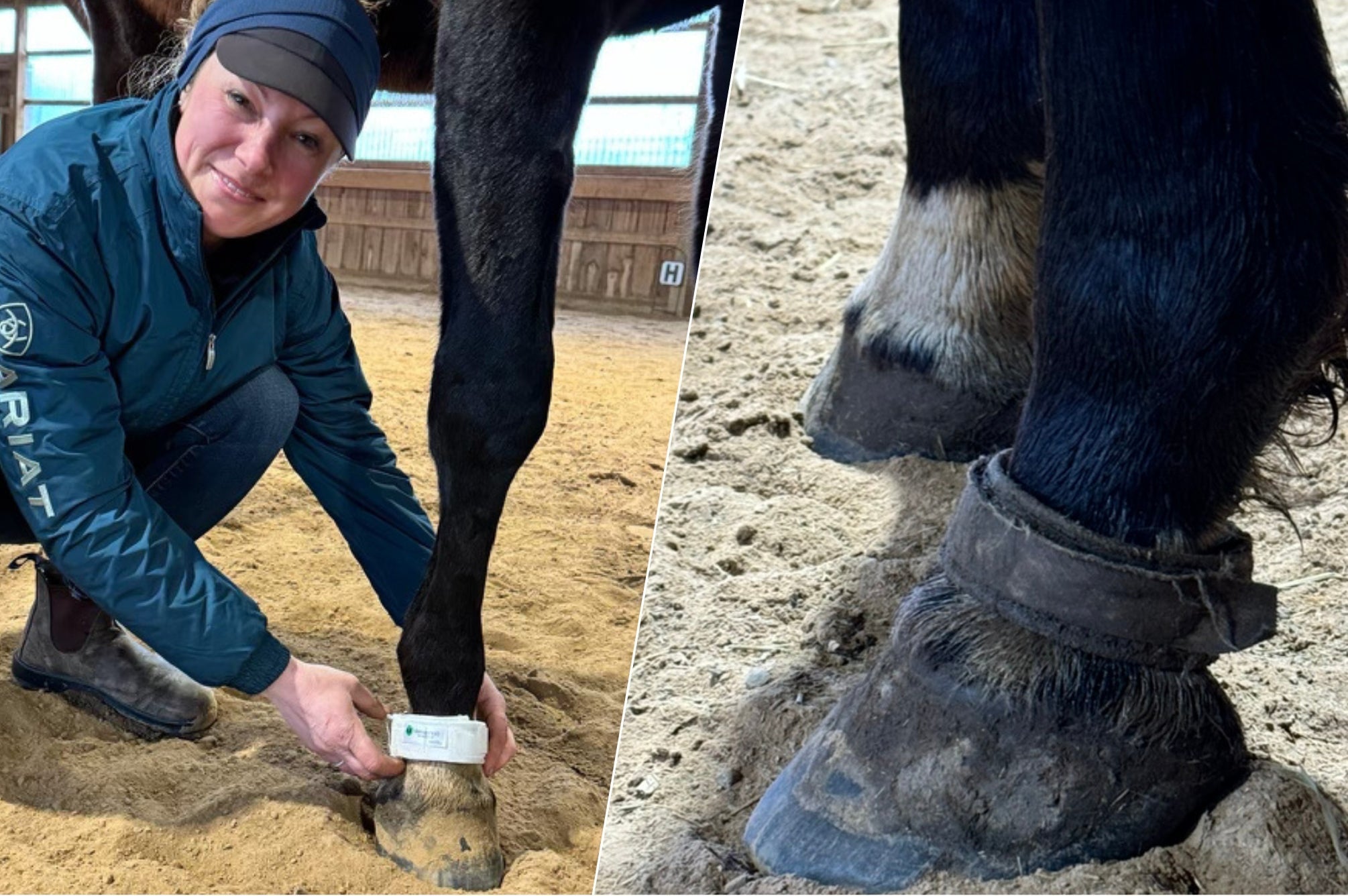 Brooke, Hiji, and a Winter Without Thrush