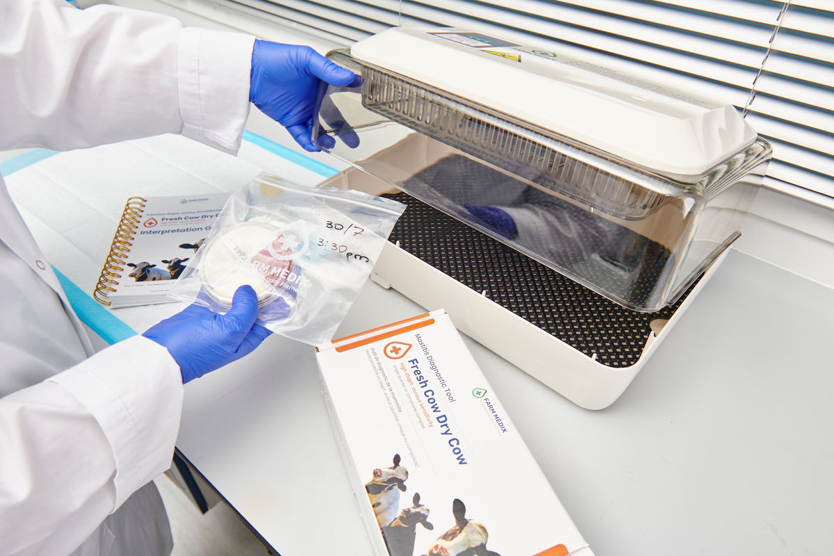 Person in a lab coat and gloves placing culture plates in an incubator at Farm Medix, with Fresh Cow and Dry Cow on-farm mastitis testing boxes and manuals visible