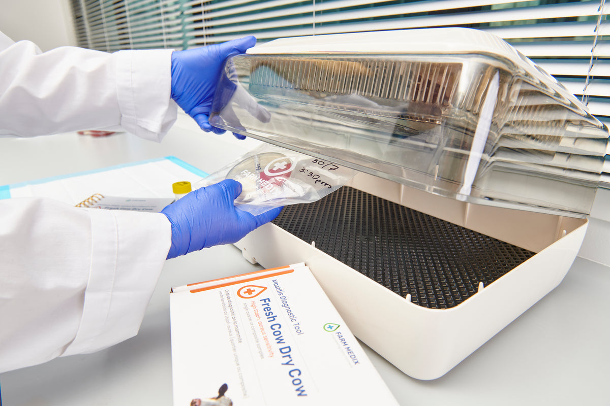 Person in a lab coat and gloves placing culture plates in an incubator at Farm Medix, with Fresh Cow and Dry Cow on-farm mastitis testing box and manuals visible