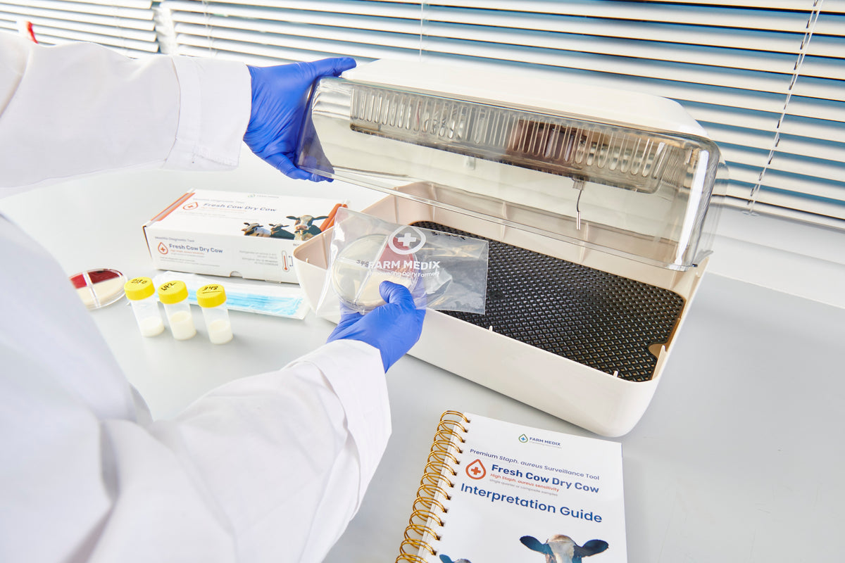 Person in a lab coat and gloves placing culture plates in an incubator at Farm Medix, with Fresh Cow and Dry Cow on-farm mastitis testing boxes and manuals visible